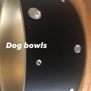 dog and cat bowls
